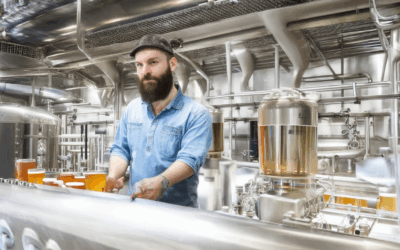 Igniting Your Beer Journey: Mastering Brewing Programs and Industry Insights
