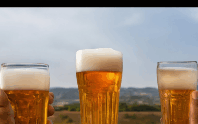 The Functional Side of Beer: Health Insights and Myths