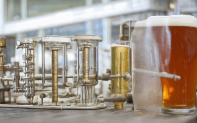 Exploring Beer Theories: The Key Concepts in Beer Production